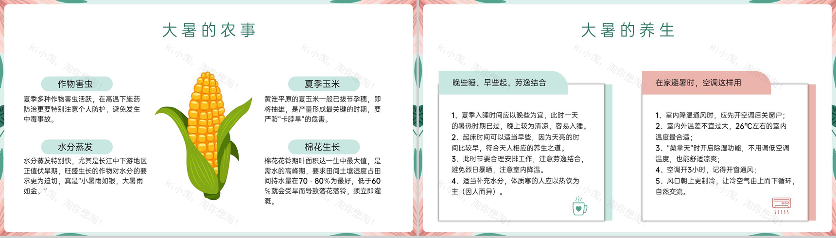 浅绿清新风二十四节气之大暑节气介绍PPT模板-7