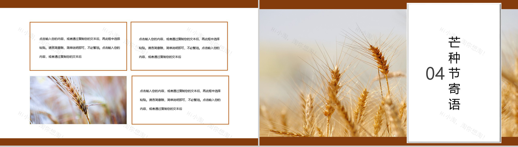 白色简约风芒种习俗介绍PPT模板-8