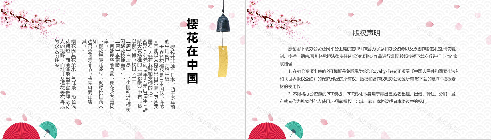 白色简约复古风樱花知识介绍PPT课件-9