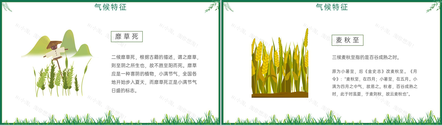 绿色简约风小满麦粒渐满二十四节气小满介绍PPT模板-6