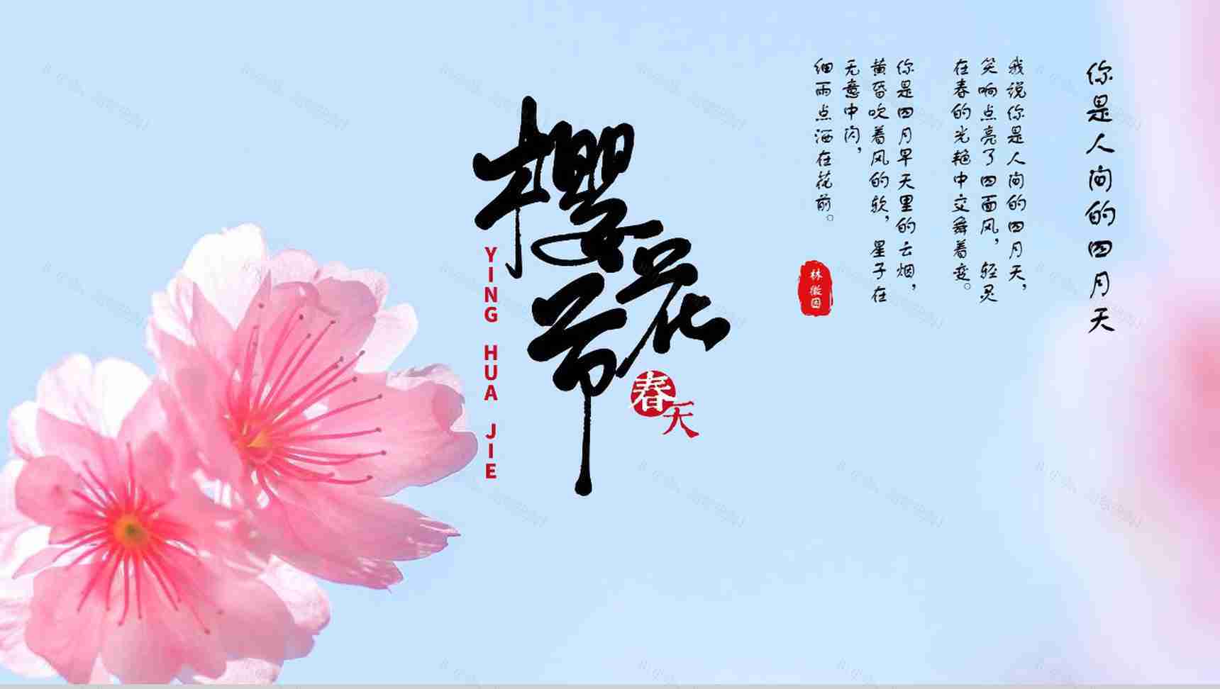 你是人间的四月天樱花季旅游策划PPT模板-1