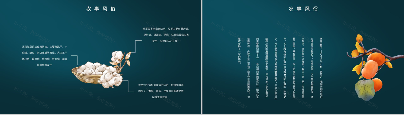 蓝色中国风传统节气介绍之寒露的物候特征PPT模板-8