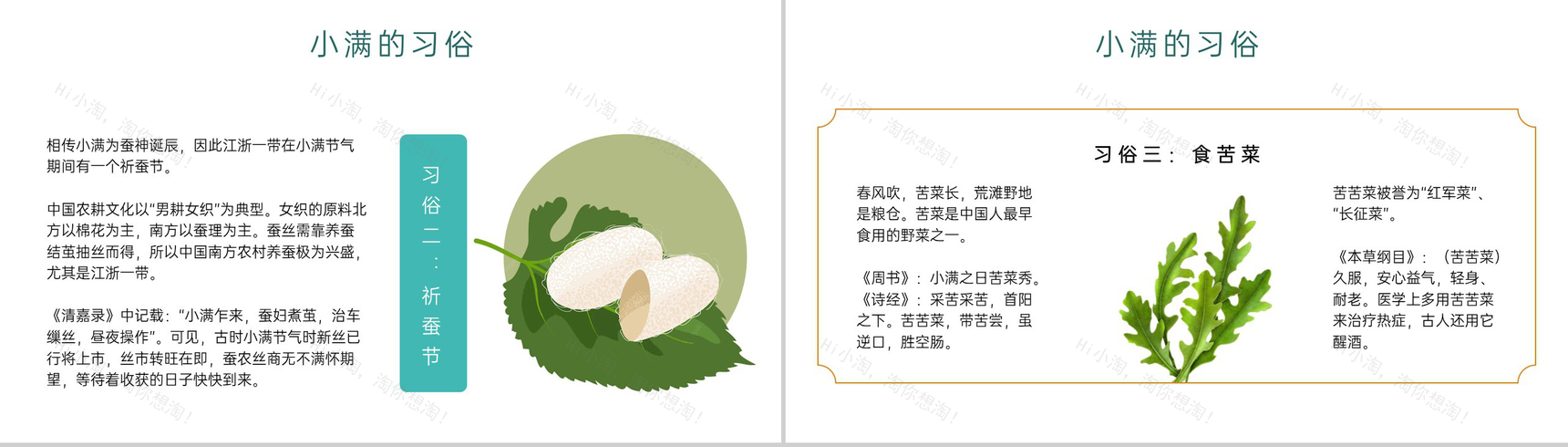 黄绿简约风二十四节气之小满介绍主题班会PPT模板-8