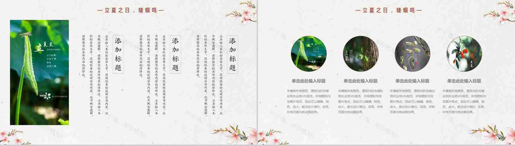 传统节气立夏节气教育讲座PPT模板-3