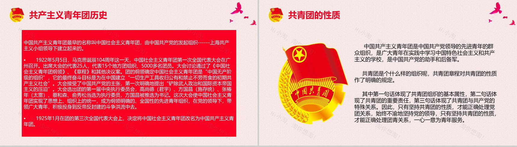 庄严大气共青团团组织团日活动PPT模板-4