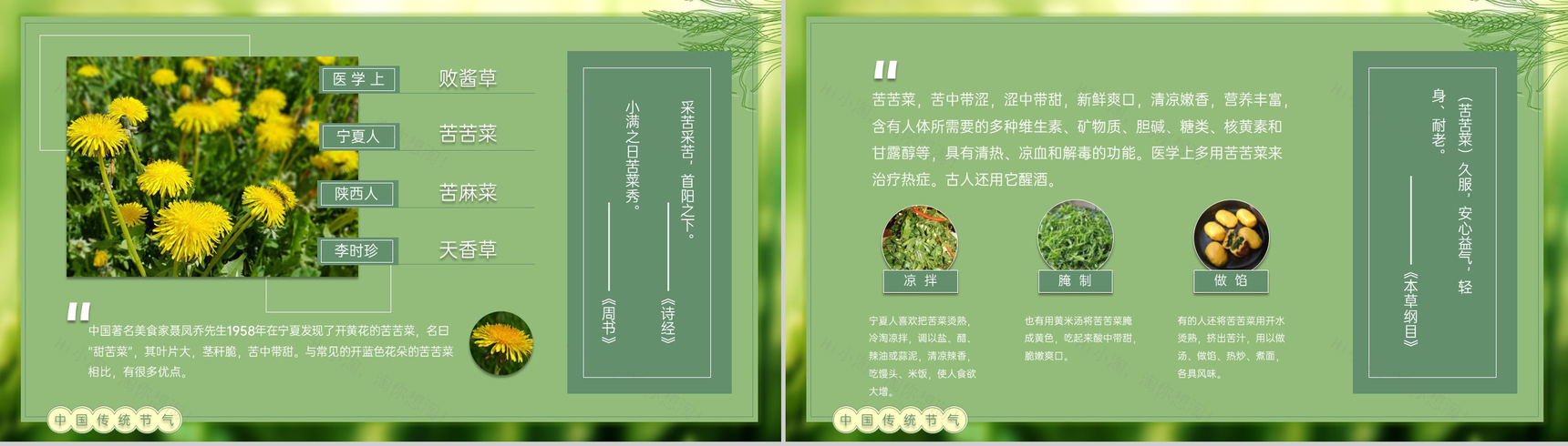 绿色自然风二十四节气小满由来习俗介绍PPT模板-5