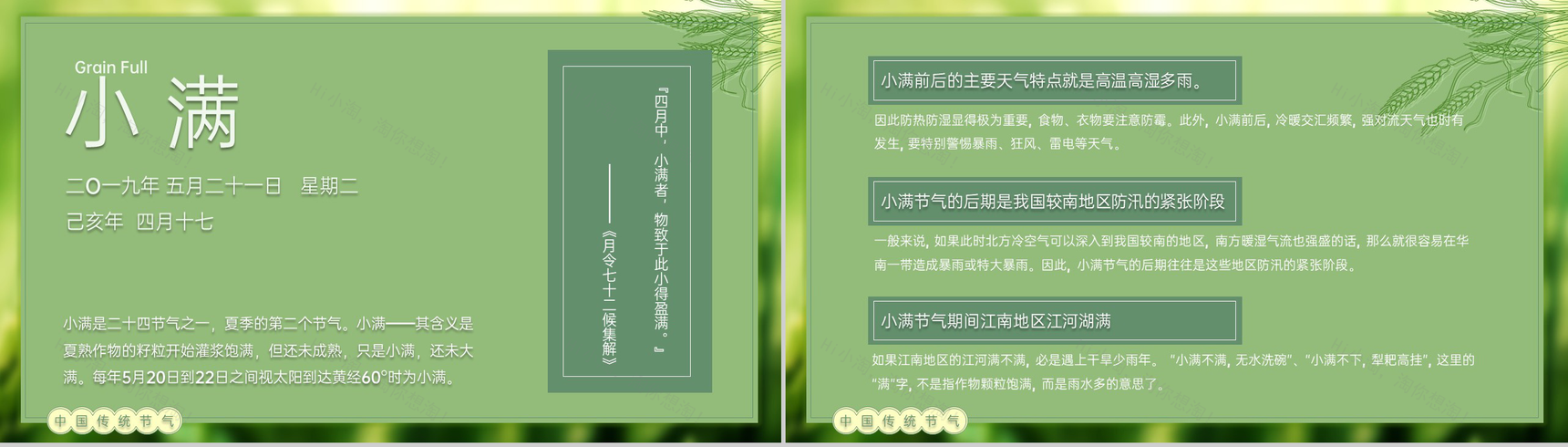 绿色自然风二十四节气小满由来习俗介绍PPT模板-3