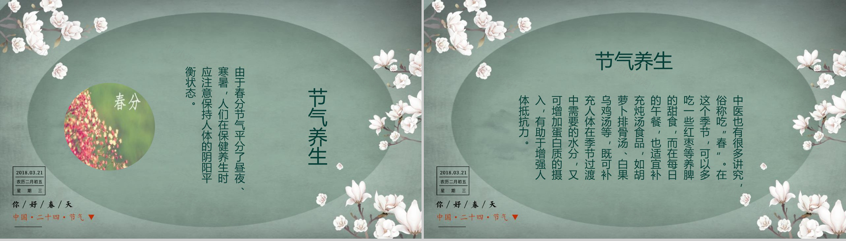 中国二十四节气春分主题班会PPT模板-5