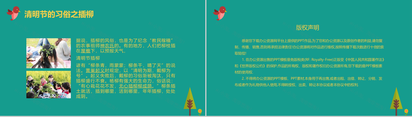 清明时节杨柳依依清明节主题班会PPT模板-8