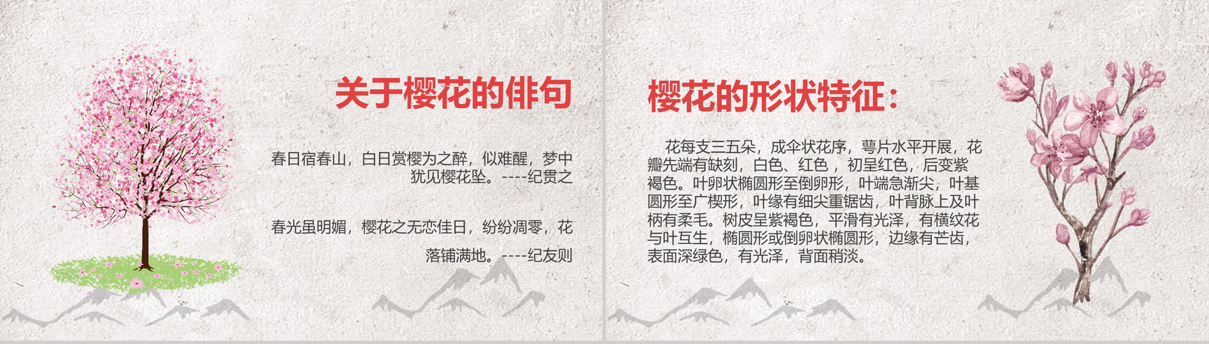 古典中国风通用樱花节PPT模板-3
