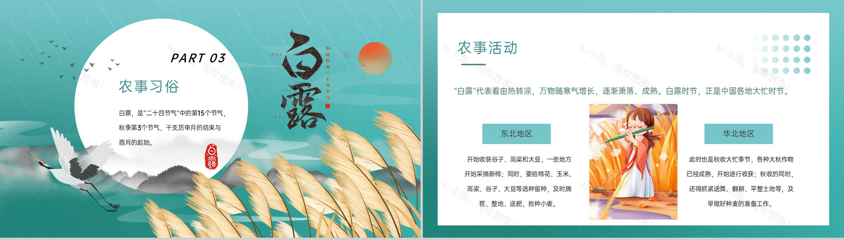 绿色清新风二十四节气之白露节气起源与习俗文化宣传PPT模板-8