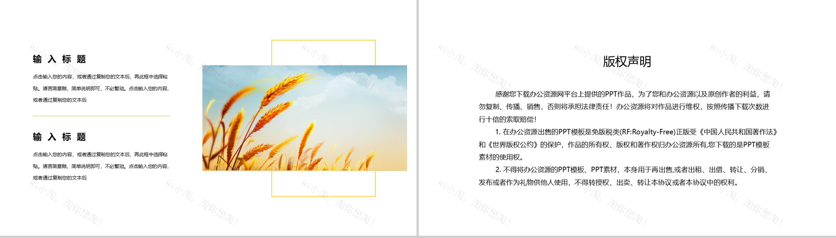 二十四节气之芒种PPT模板-10