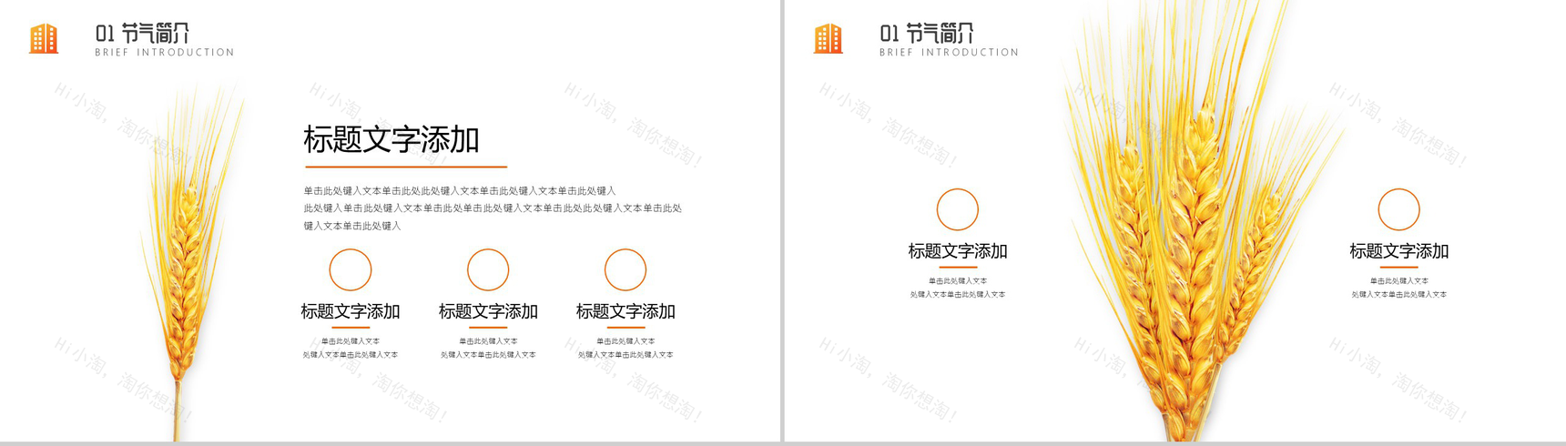 关于中国二十四节气之芒种节日的介绍PPT模板-3