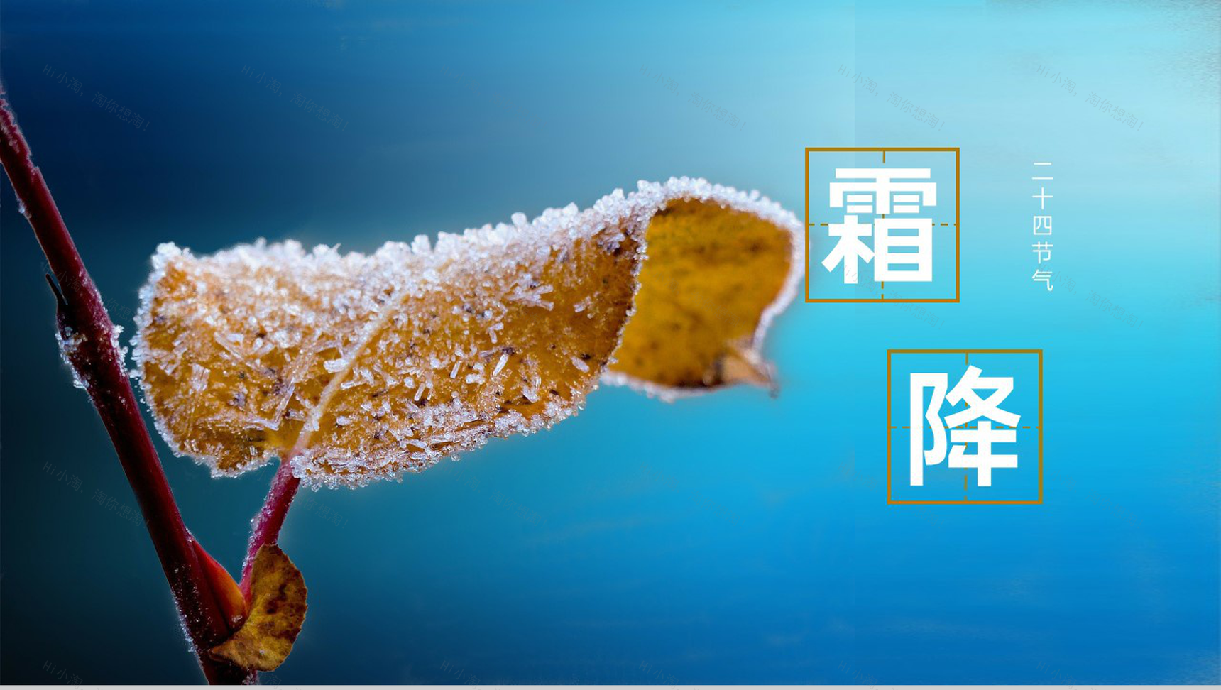 蓝色小清新风二十四节气霜降节气霜降的习俗PPT模板-1