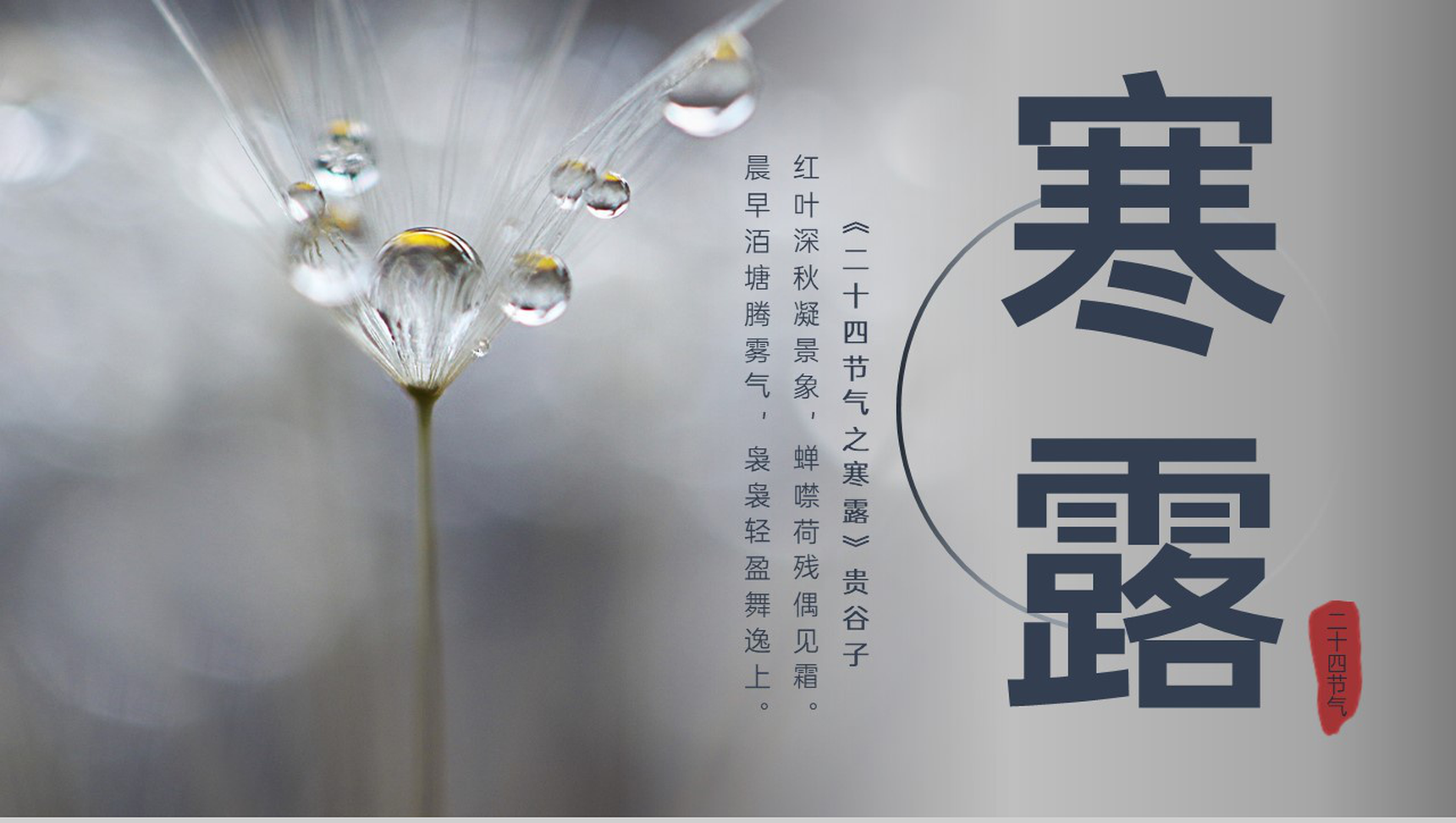 灰色创意简约风二十四节气寒露历史渊源介绍PPT模板