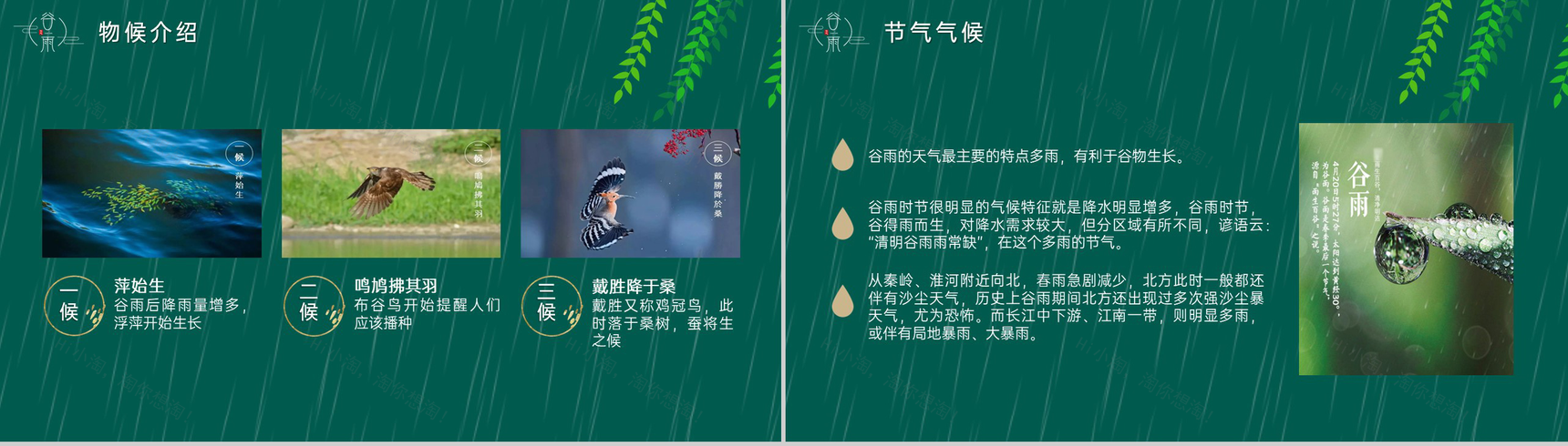 绿色手绘风二十四节气谷雨气候特征介绍PPT模板-4