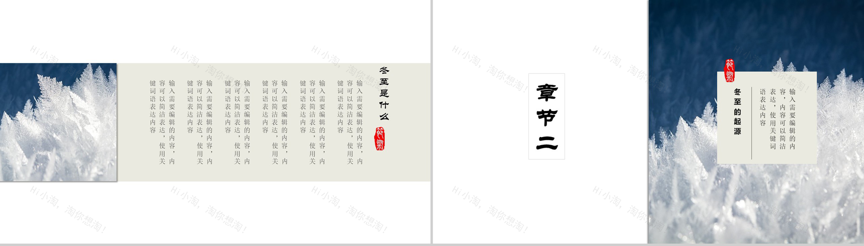 白色精美雪花冬季冬至活动策划PPT模板-5