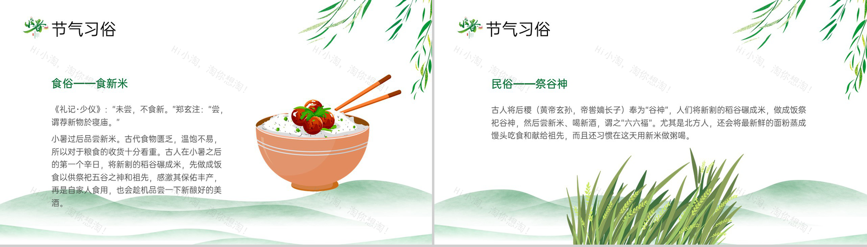绿色清新风二十四节气之小暑节气介绍中小学主题班会PPT模板-7