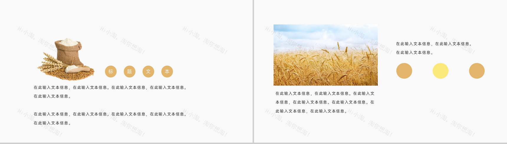 金色稻香风二十四节气小满由来背景介绍PPT模板-2