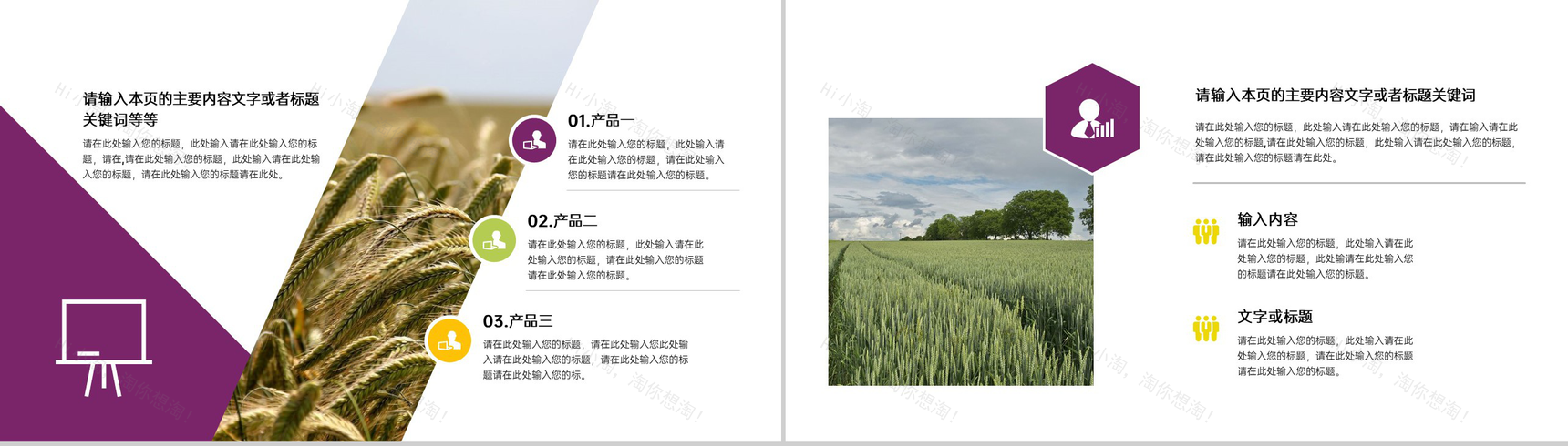 简洁杂志风五一劳动节农业招商加盟宣讲会PPT模板-4