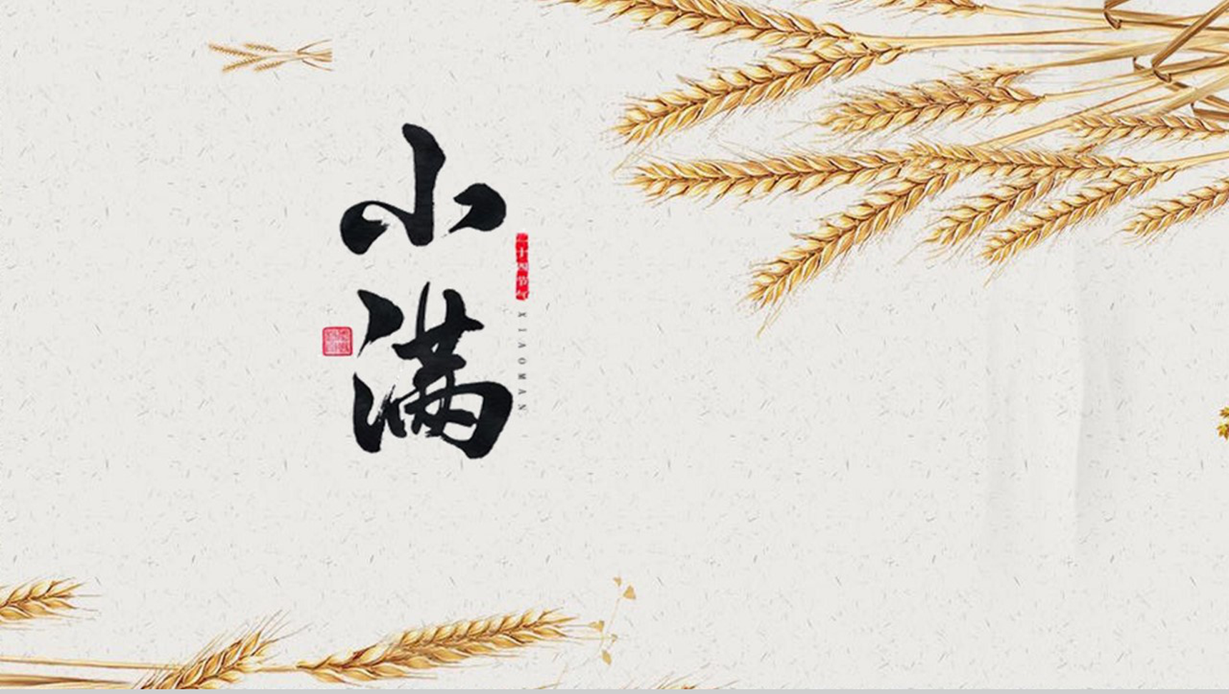 金色稻香风二十四节气小满由来背景介绍PPT模板