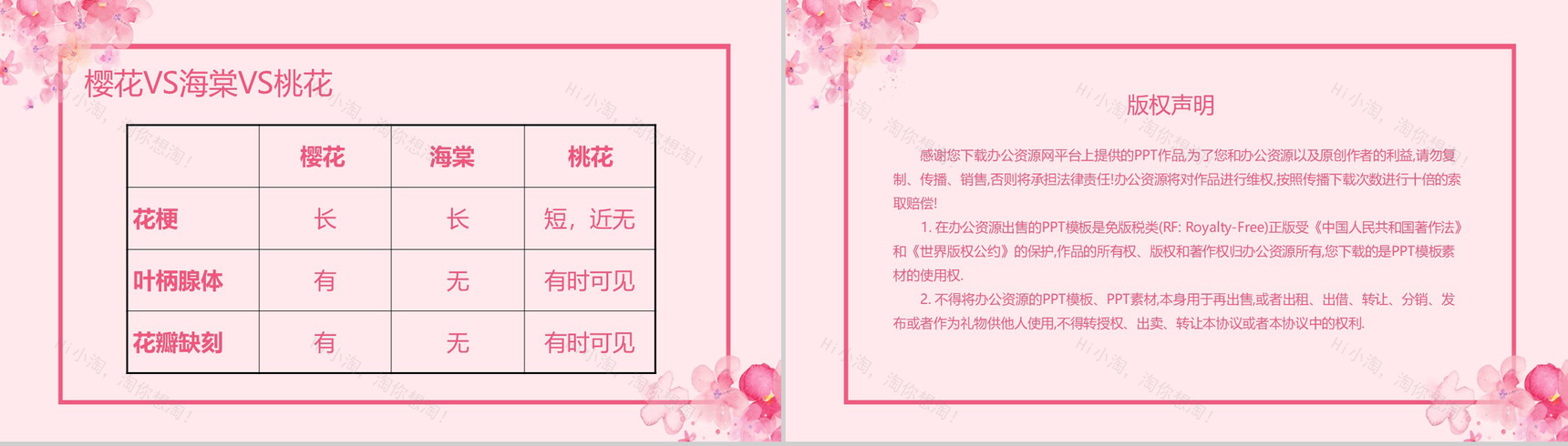 粉色唯美清新浪漫樱花节PPT模板-5