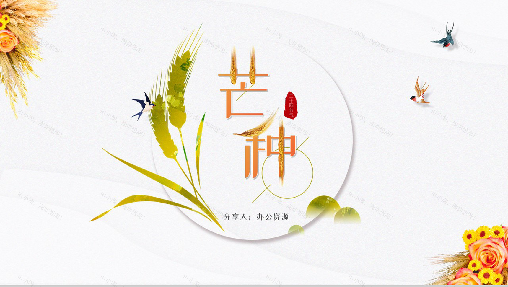 白色简约风格中国传统二十四节气芒种简介PPT模板-10