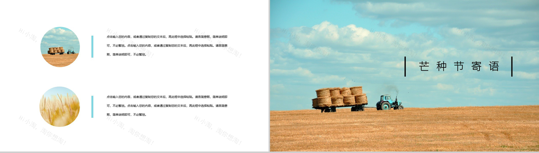 二十节气之芒种宣传活动介绍PPT模板-8