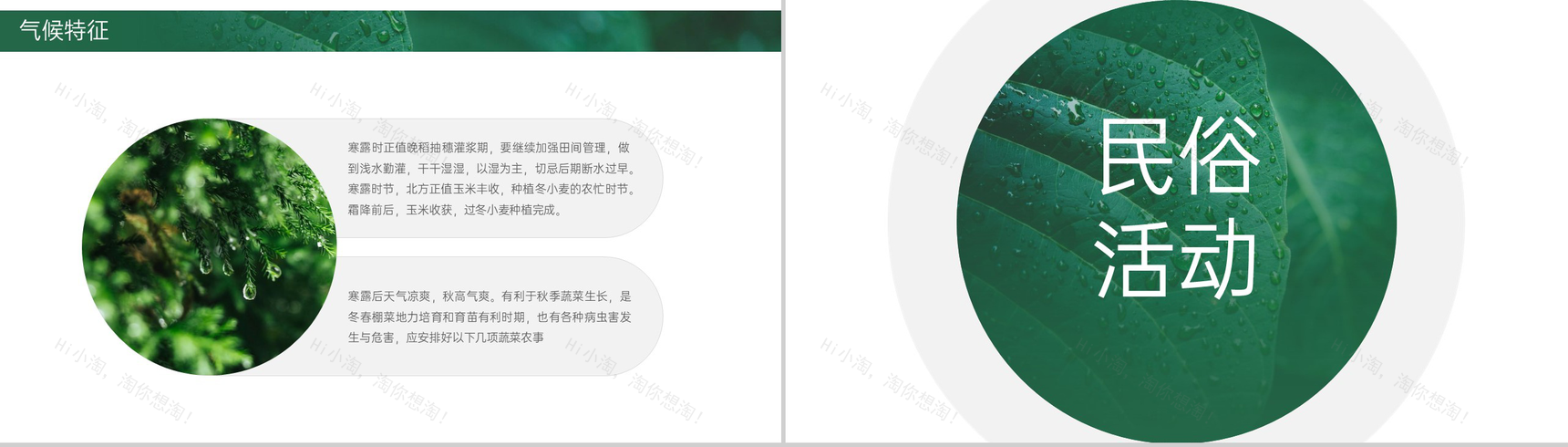 绿色简约小清新风二十四节气介绍之寒露的由来PPT模板-6