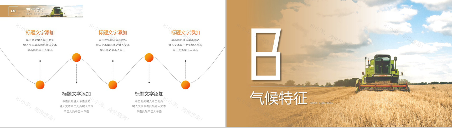 简约风格传统二十四节气芒种介绍PPT模板-4