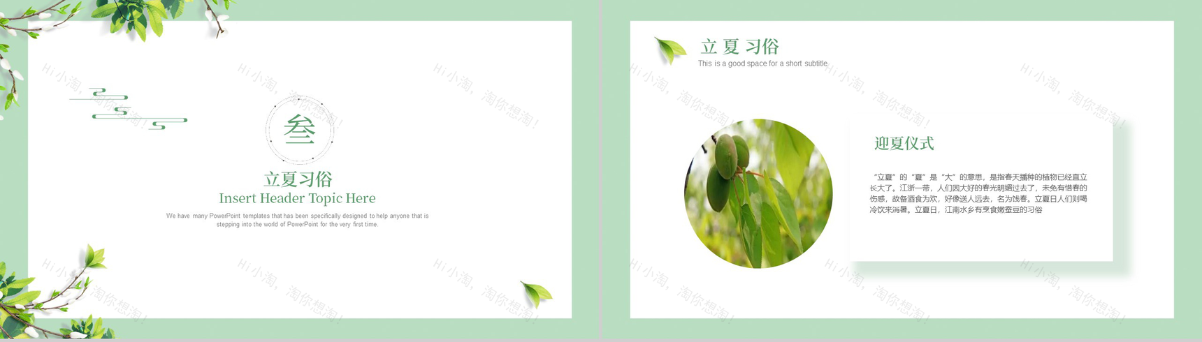 绿色清新传统二十四节气之立夏节气介绍PPT模板-6