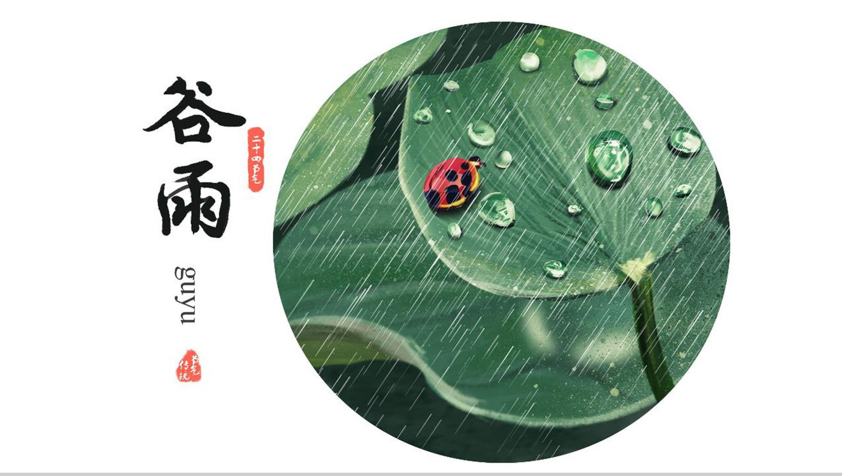 清新简洁动态二十四节气谷雨PPT模板