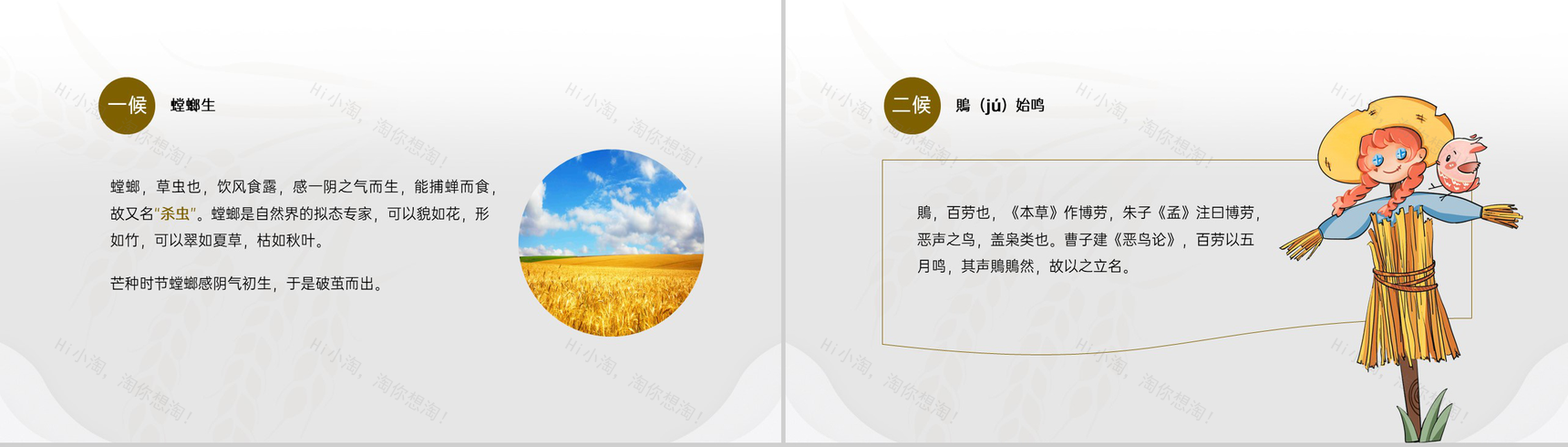 黄色中国风二十四节气之芒种文化与养生PPT模板-5