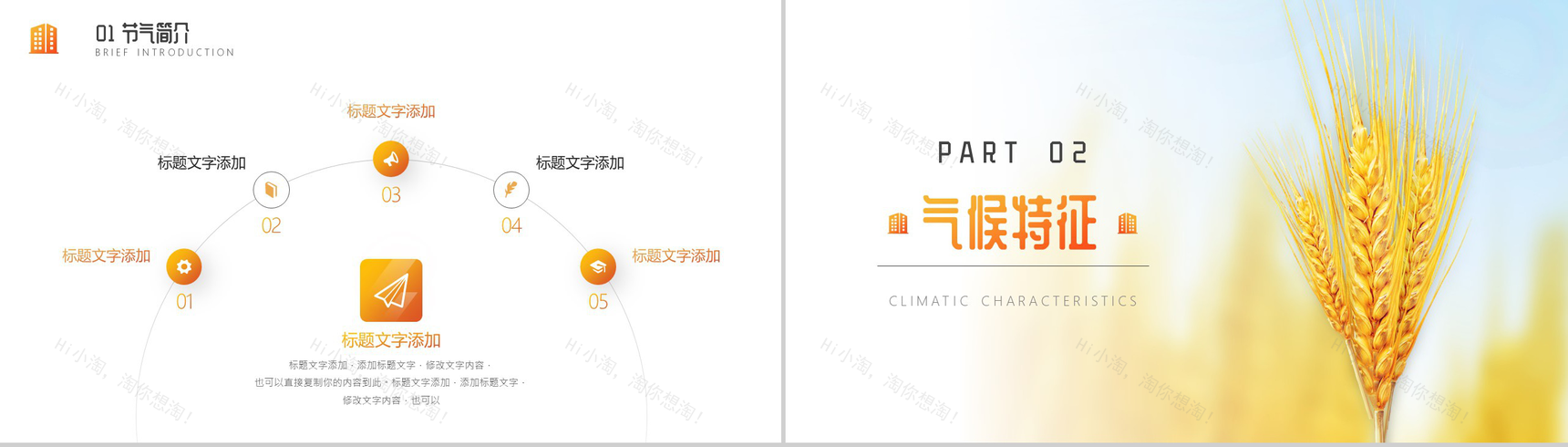 关于中国二十四节气之芒种节日的介绍PPT模板-4