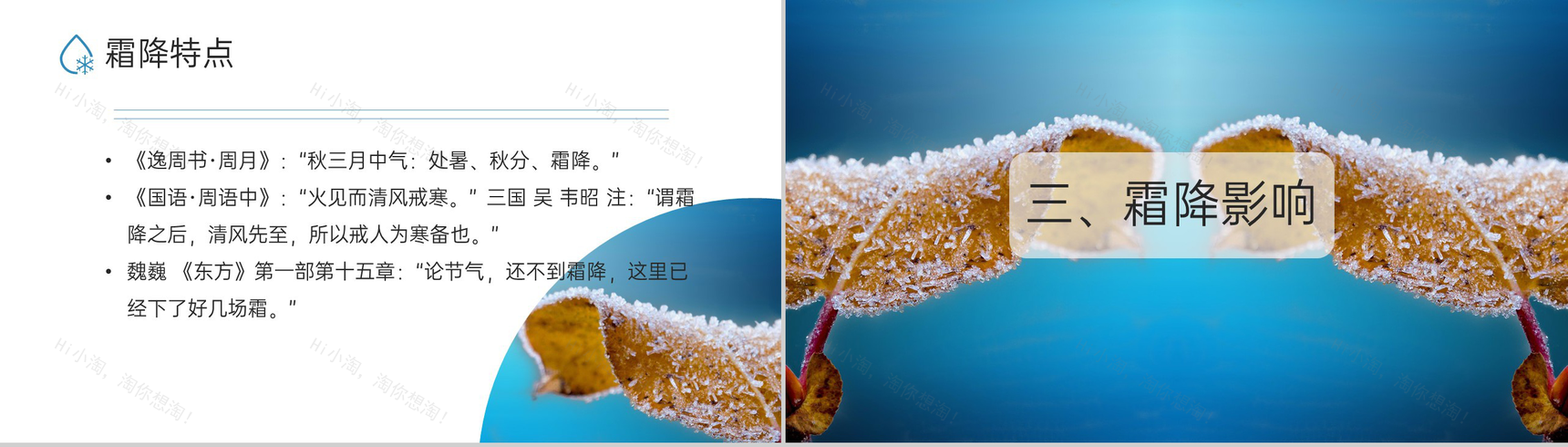 蓝色小清新风二十四节气霜降节气霜降的习俗PPT模板-5