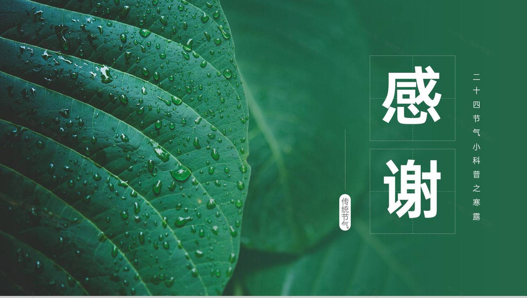 绿色简约小清新风二十四节气介绍之寒露的由来PPT模板-11