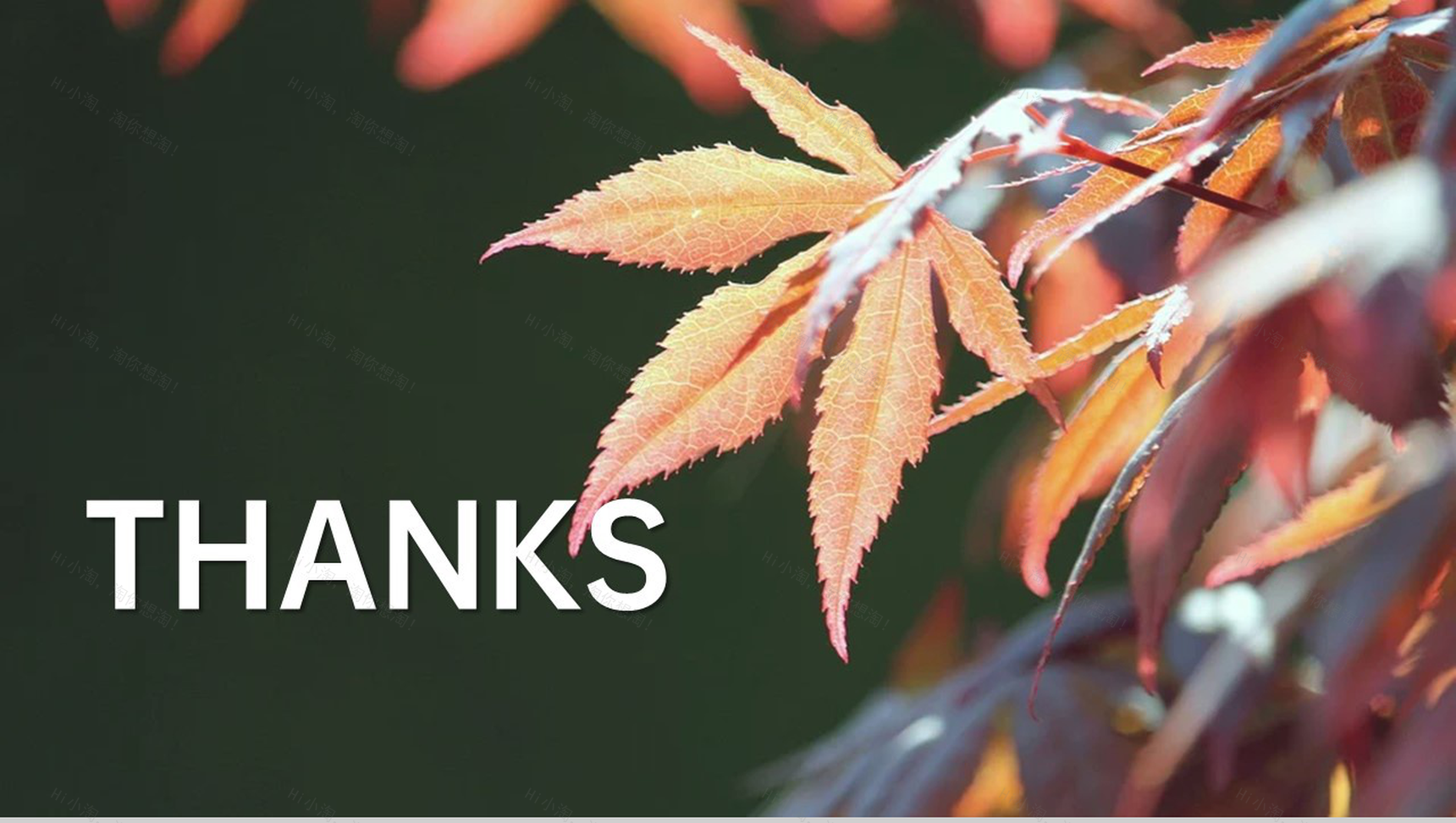 浅橙简约风传统节气立秋主题工作总结计划PPT模板-9