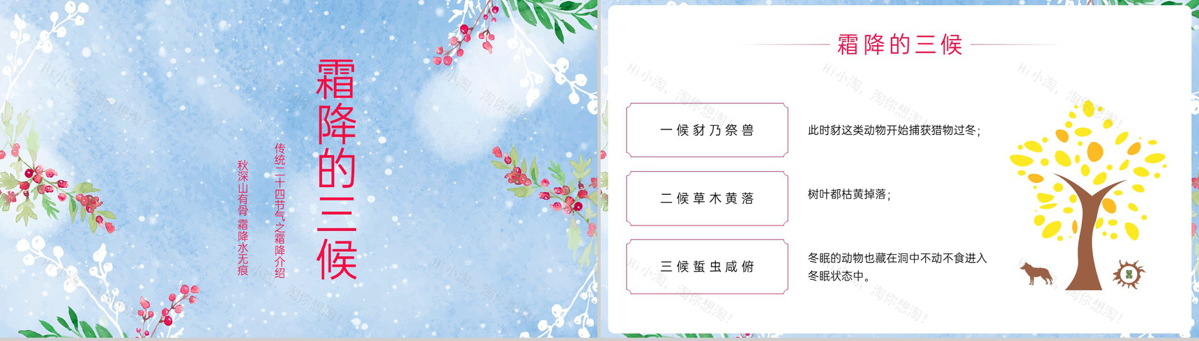 蓝色小清新传统二十四节气之霜降的三候介绍PPT模板-4