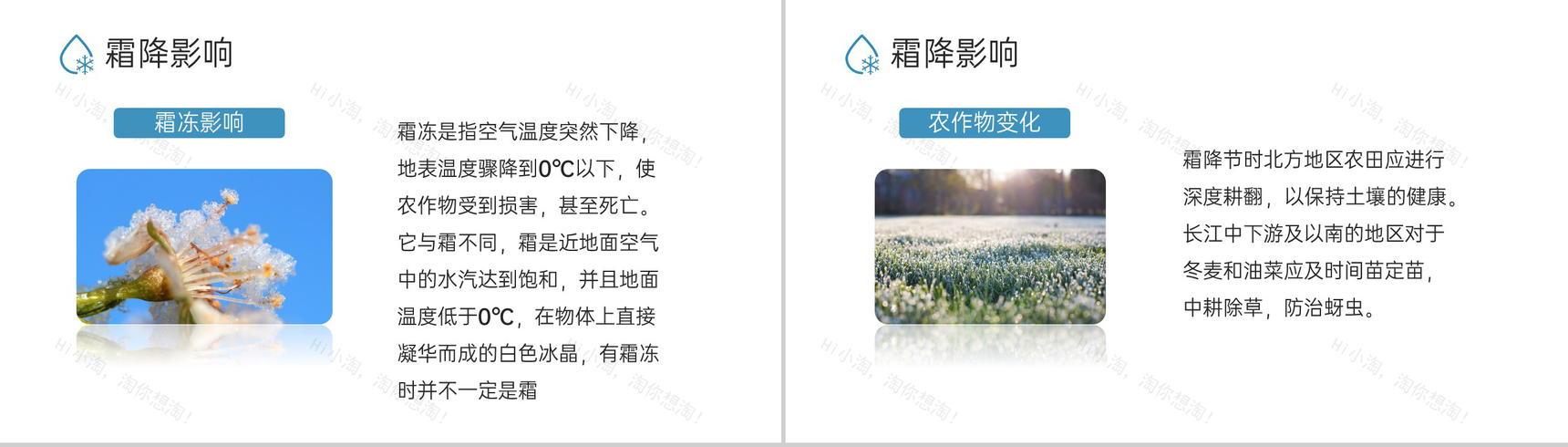 蓝色小清新风二十四节气霜降节气霜降的习俗PPT模板-6