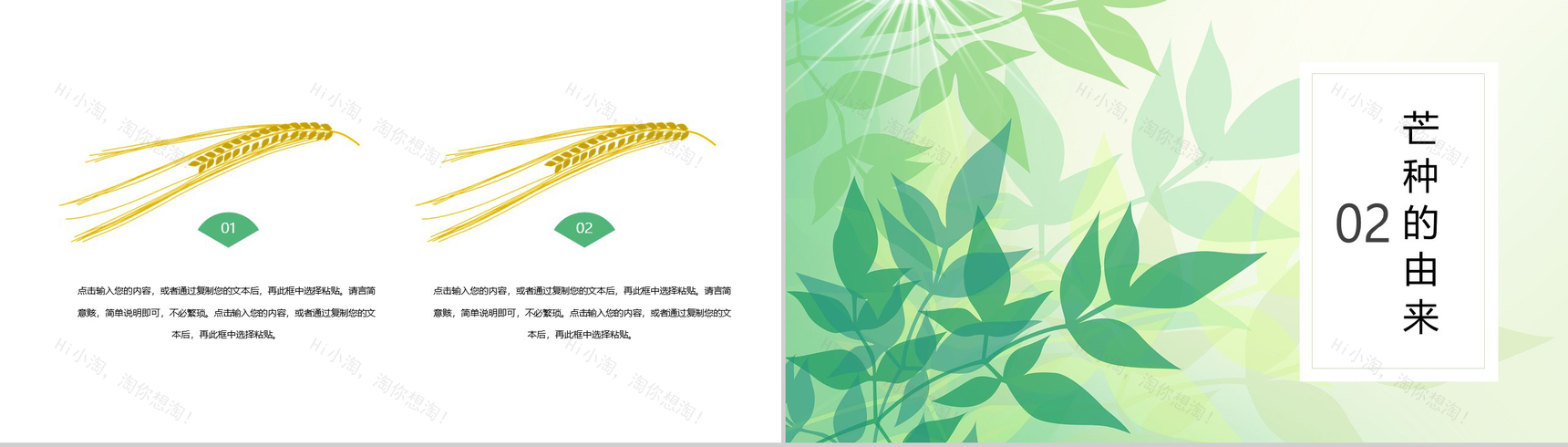 小清新芒种节气介绍PPT模板-4