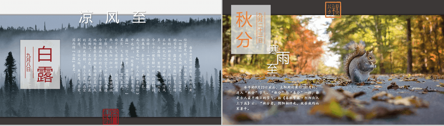 简约中国风动态二十四节气介绍PPT模板-9