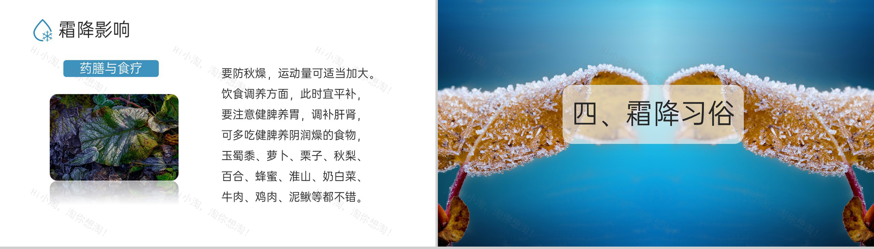 蓝色小清新风二十四节气霜降节气霜降的习俗PPT模板-7