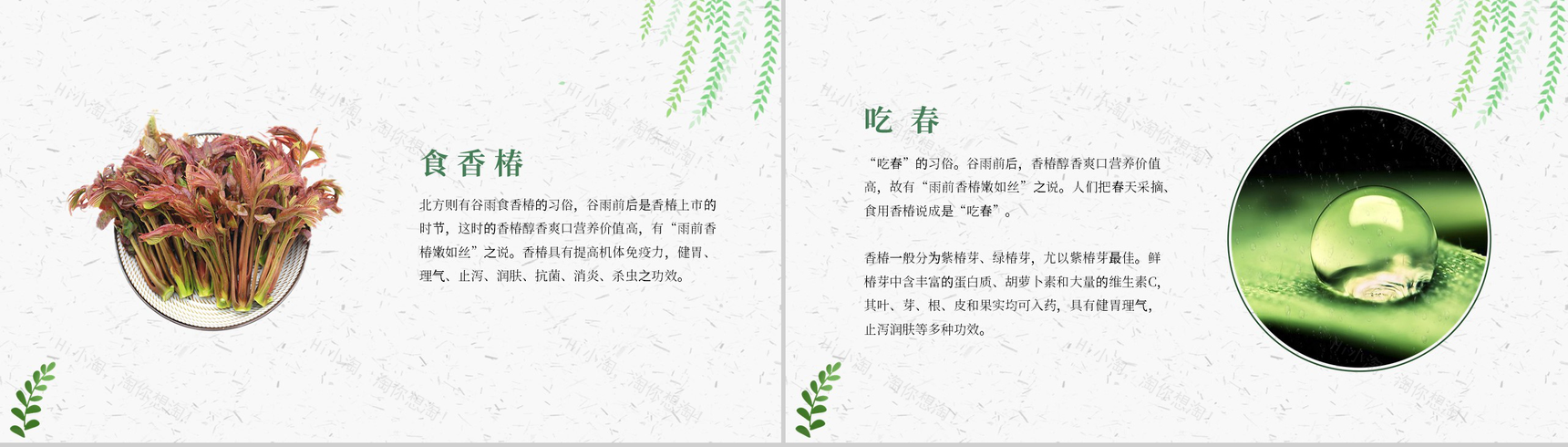 简约极简二十四节气谷雨时节PPT模板-8