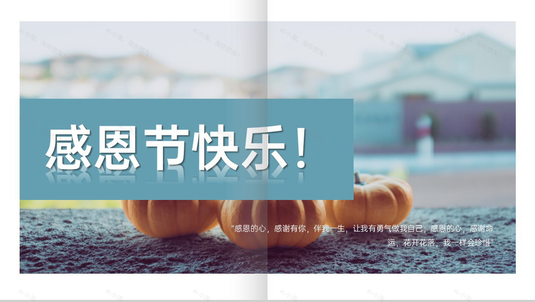 水绿色简约风感恩节活动营销策划备选方案PPT模板-13