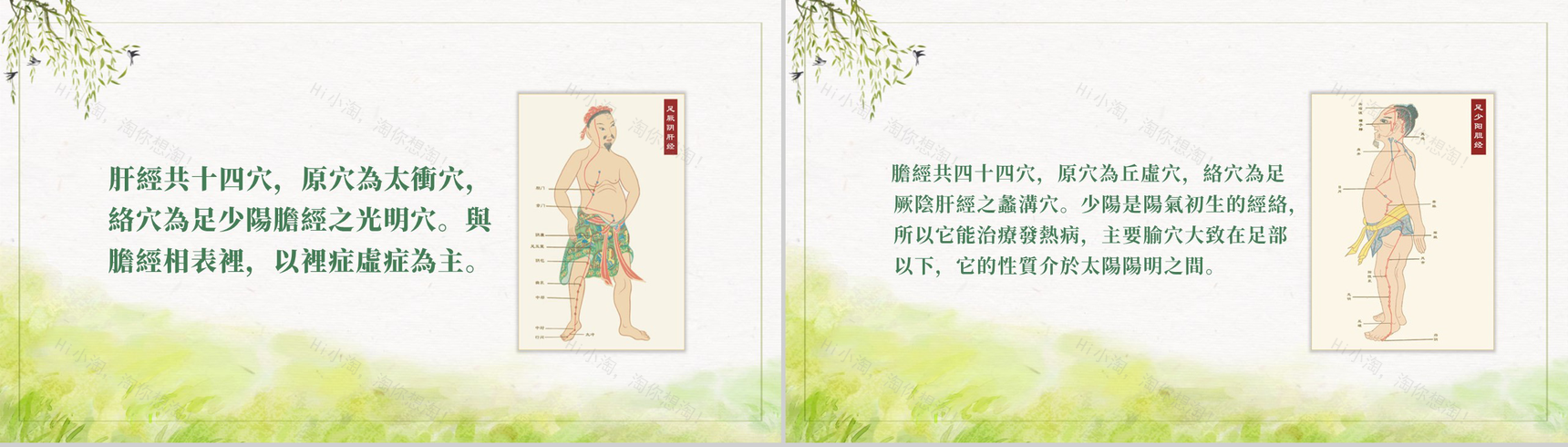 二十四节气养生清明中国传统节日谷雨PPT模板-6