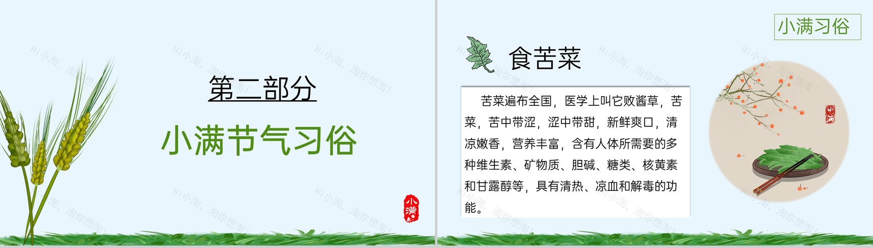 蓝绿卡通风中国传统二十四节气小满节气由来PPT模板-4