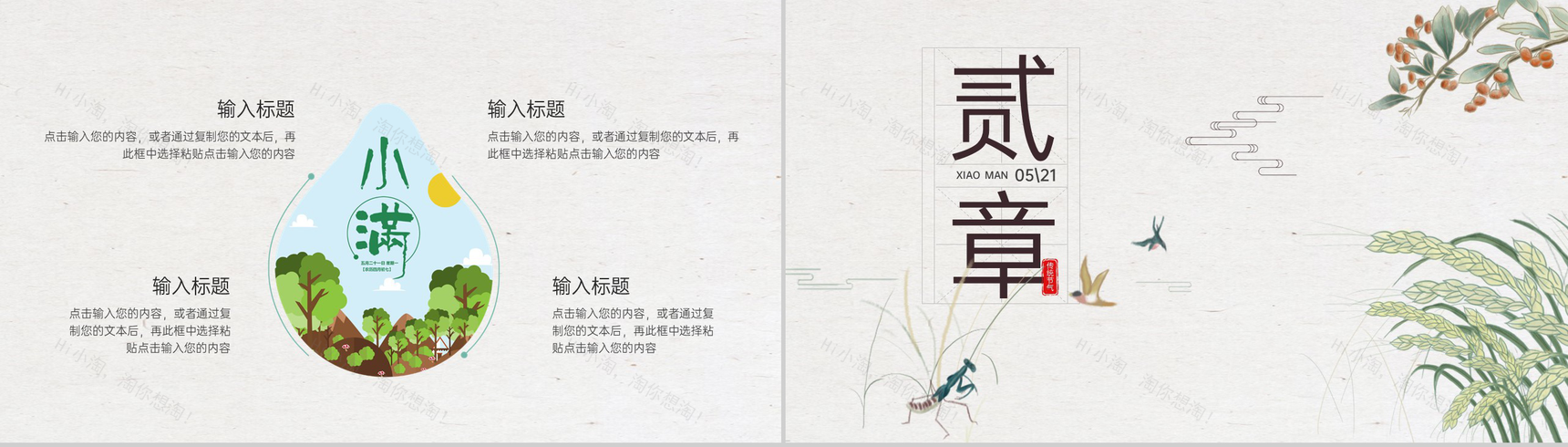 浅绿清新复古二十四节气传统节日小满介绍PPT模板-4
