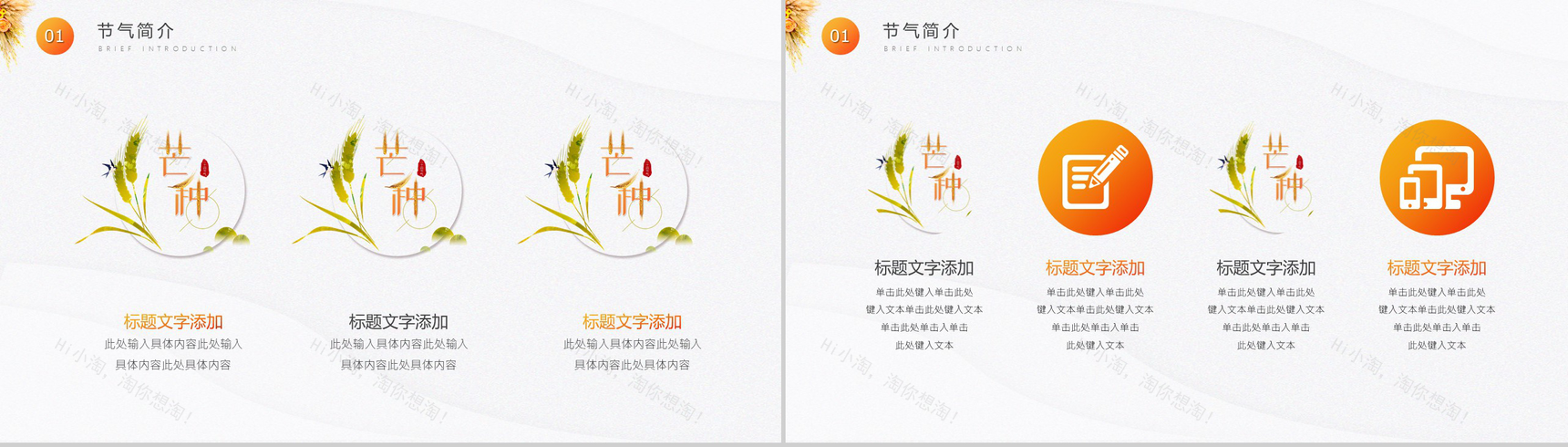 白色简约风格中国传统二十四节气芒种简介PPT模板-3