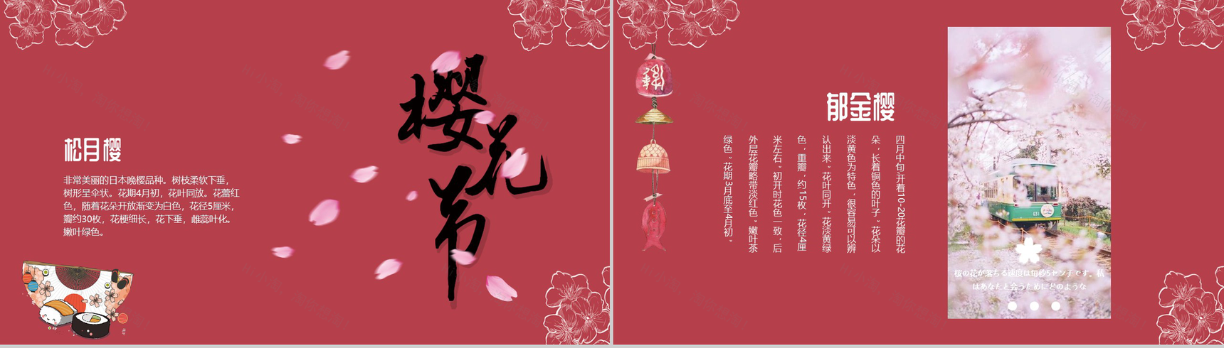 手绘风格醉美樱花PPT模板-9