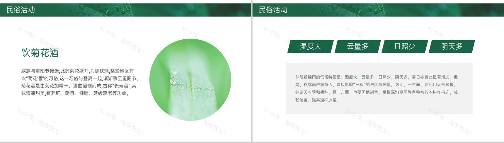 绿色简约小清新风二十四节气介绍之寒露的由来PPT模板-7